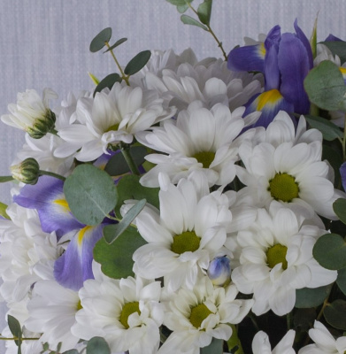 Коробка с кустовой хризантемой и ирисами "Девчата" 36288