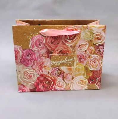 Пакет подарочный 100