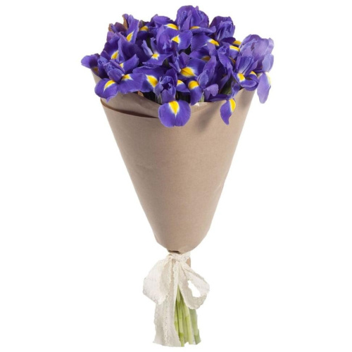 Букет из 15 синих Ирисов 7334