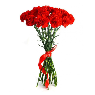 Букет из 16 красных гвоздик
