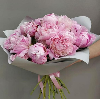 Нежность. 15 пионов 6252