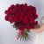 Букет из 51 Красной розы 60 см 7298
