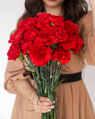 Гвоздика красная