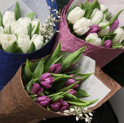 Букет из 11 тюльпанов с генистой 28404